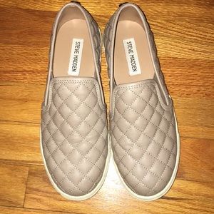 Steve Madden Women's Ecentrcq Sneaker in Grey